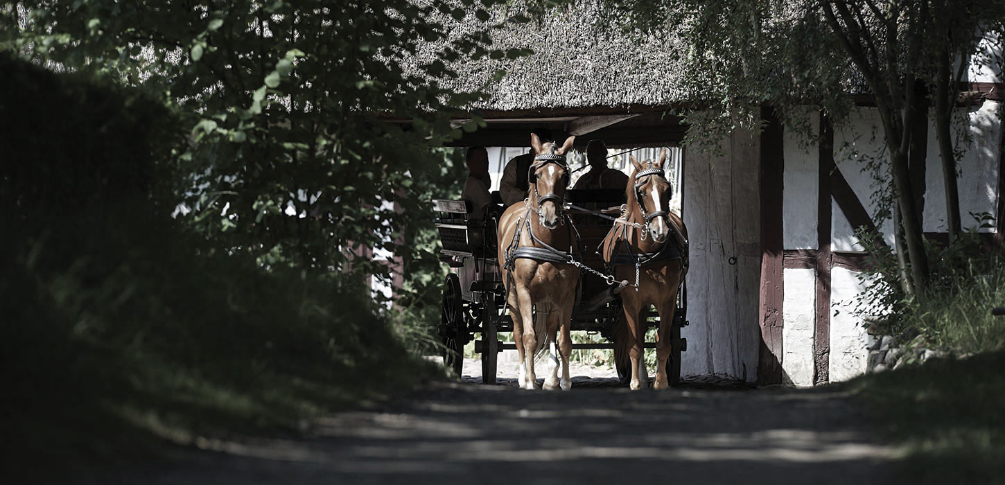 Carriage ride at The Funen Village