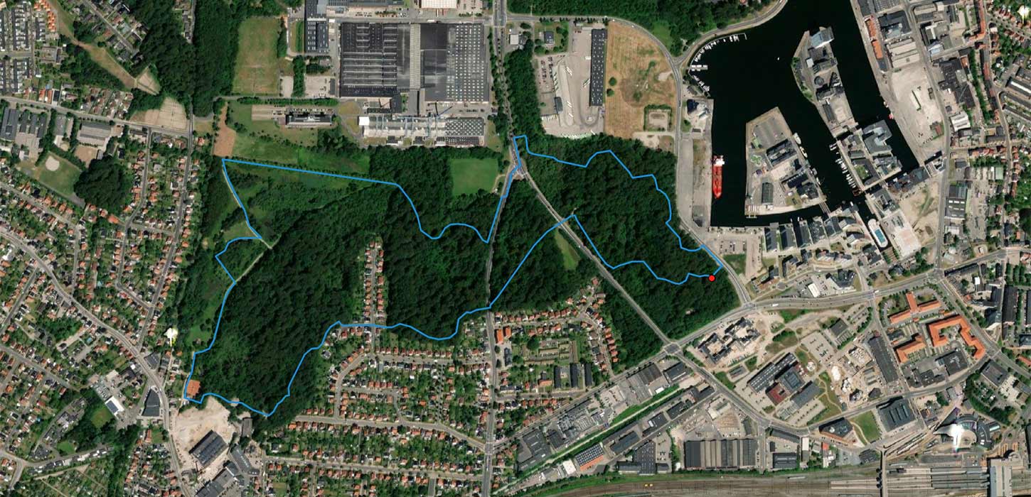 Aaloekke-Snapind-Storskov