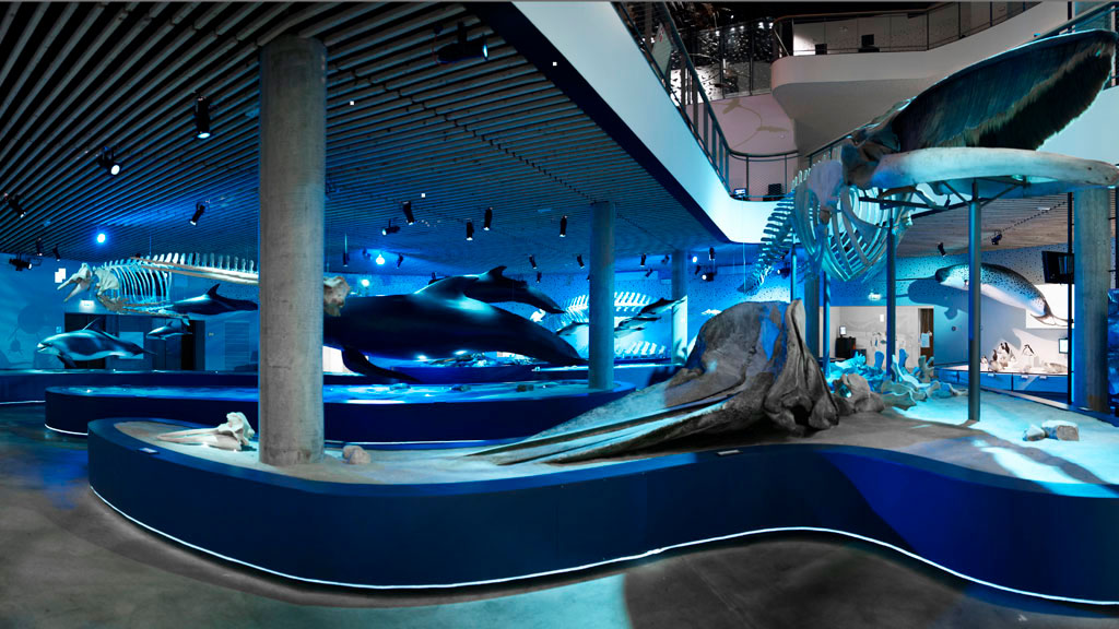 Naturama i Svendborg