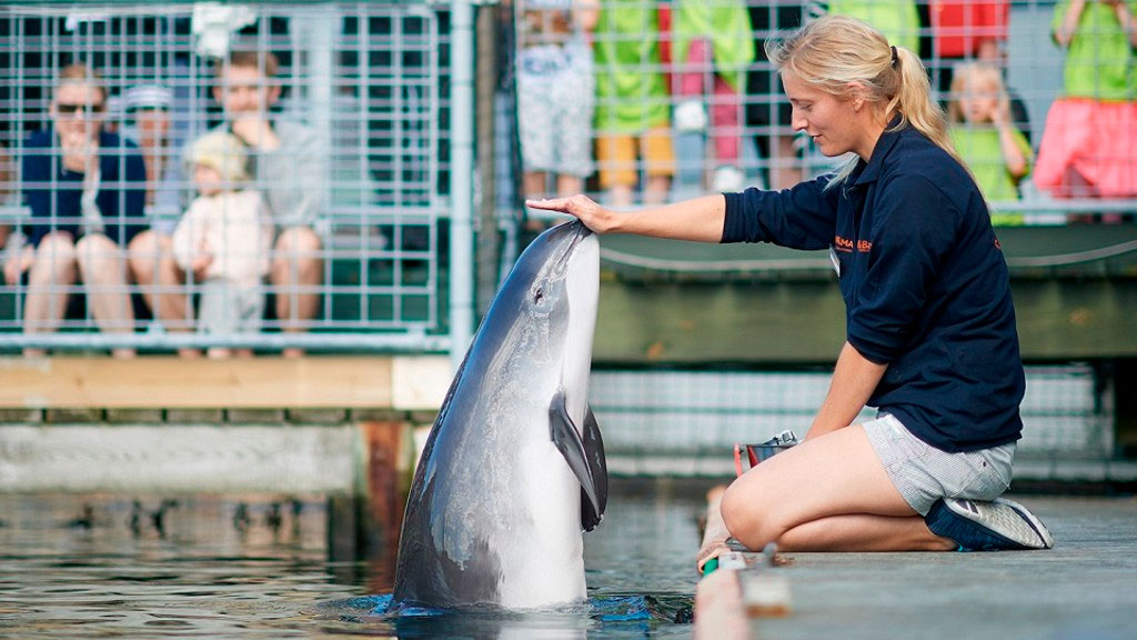 Fjord og Baelt i Kerteminde