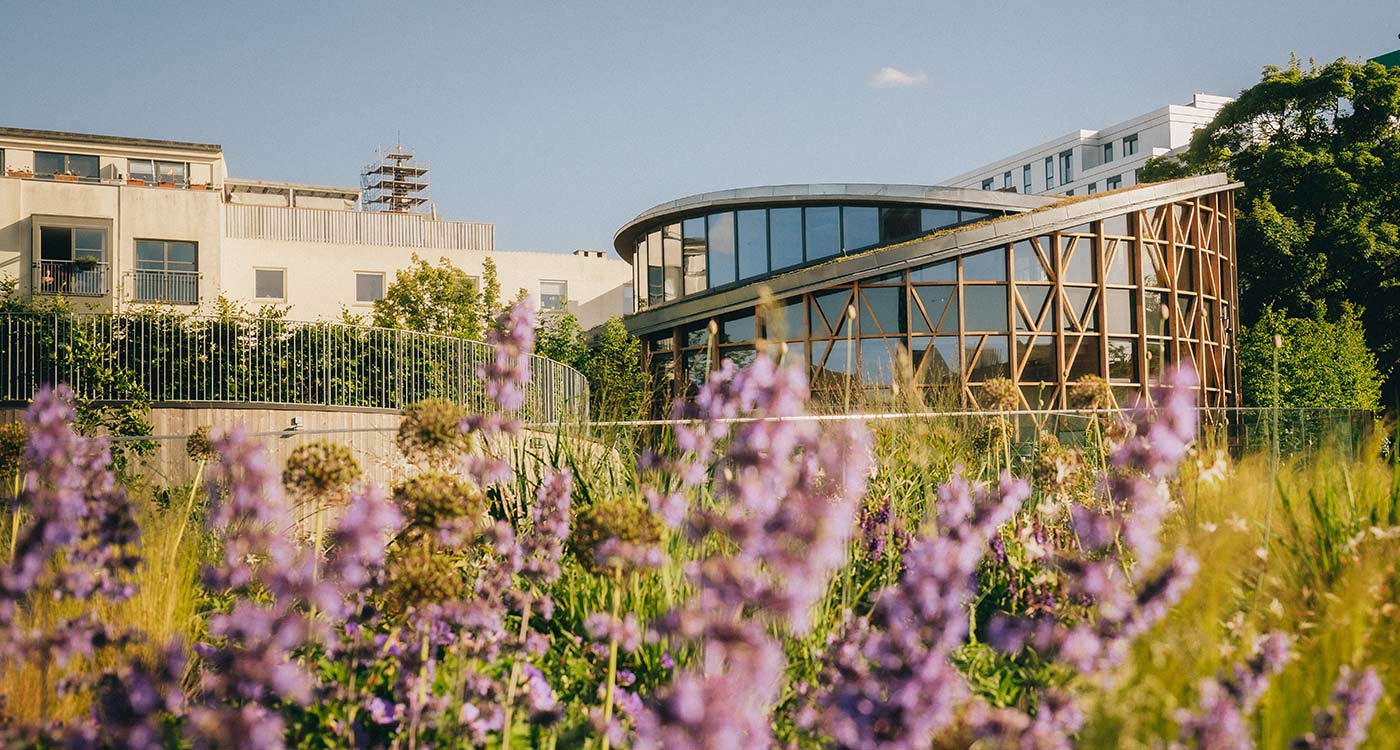 hca hus med lavendler