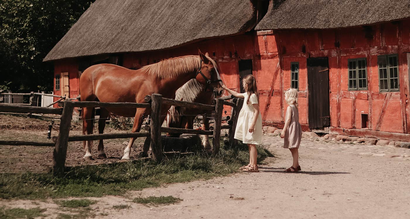 To piger i den Fynske Landsby klapper hestene