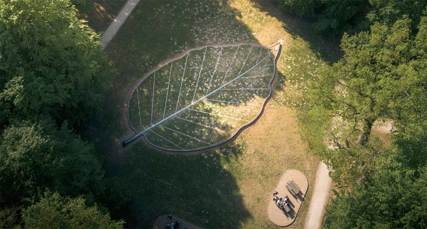 Bladet ved Skovsøen