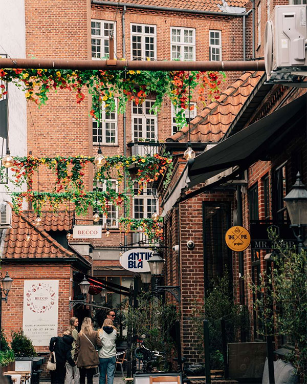 vintapperstraede i Odense