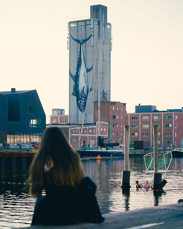 silofisk på Odense Havn