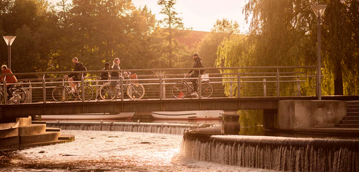 Cykelister cykler over bro