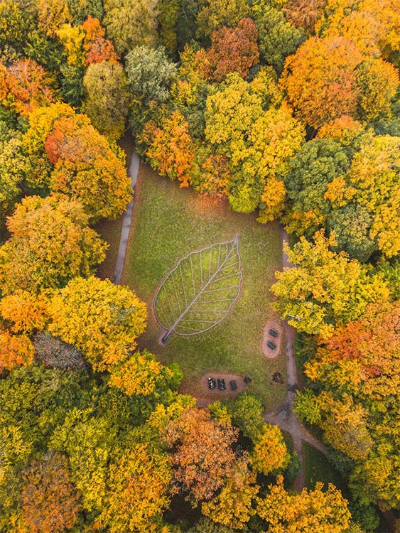 drone blad efteraar højformat