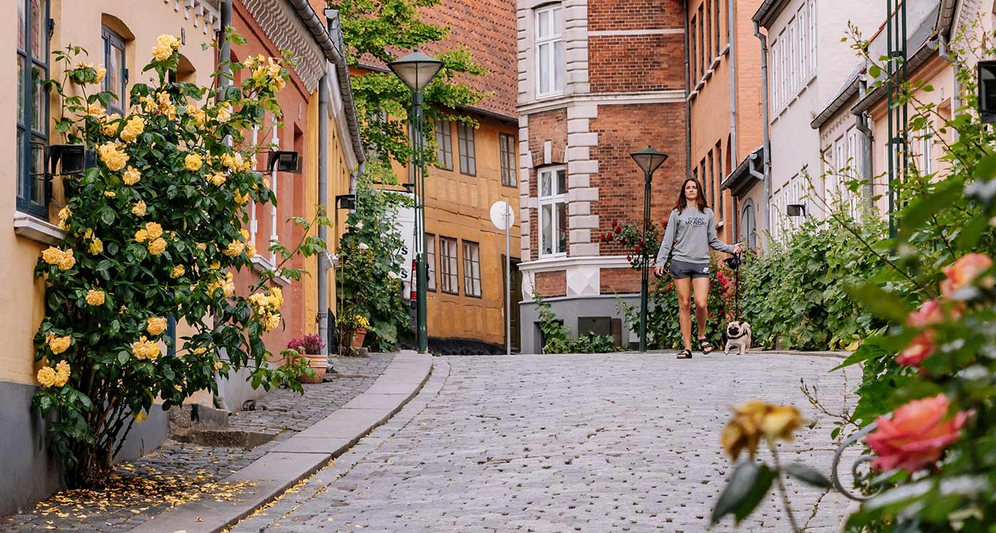 Mädchen mit Hund in Paaskestraede