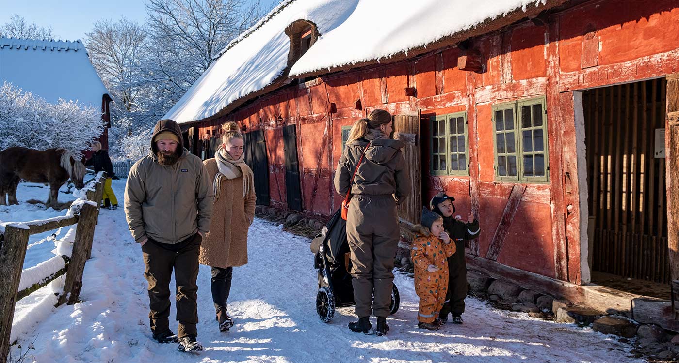 Vinter i Den Fynske Landsby