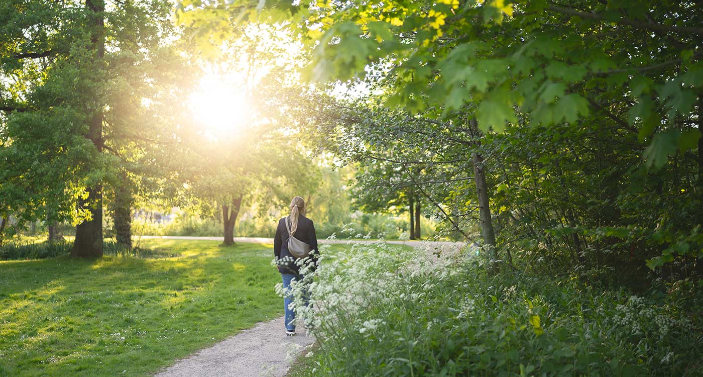 Forårsgåtur i det grønne