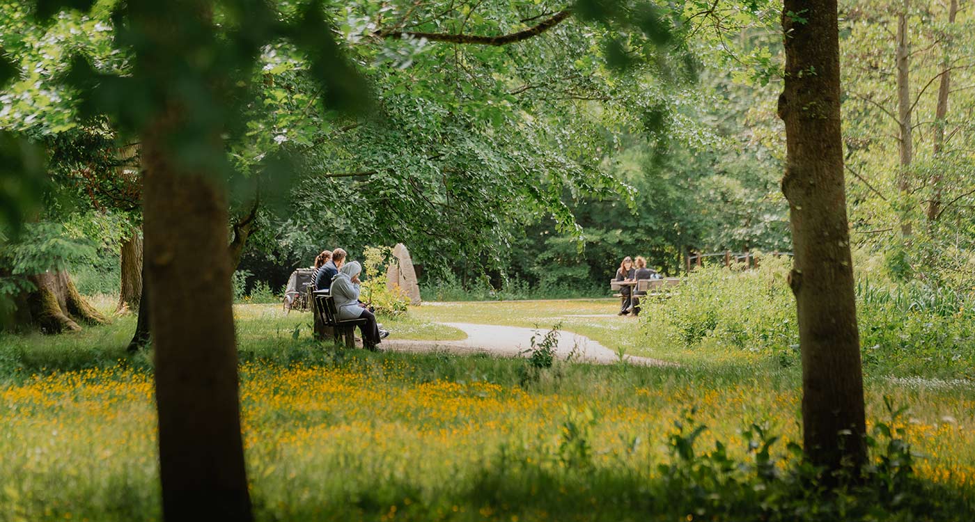 Folk på bænke i skoven