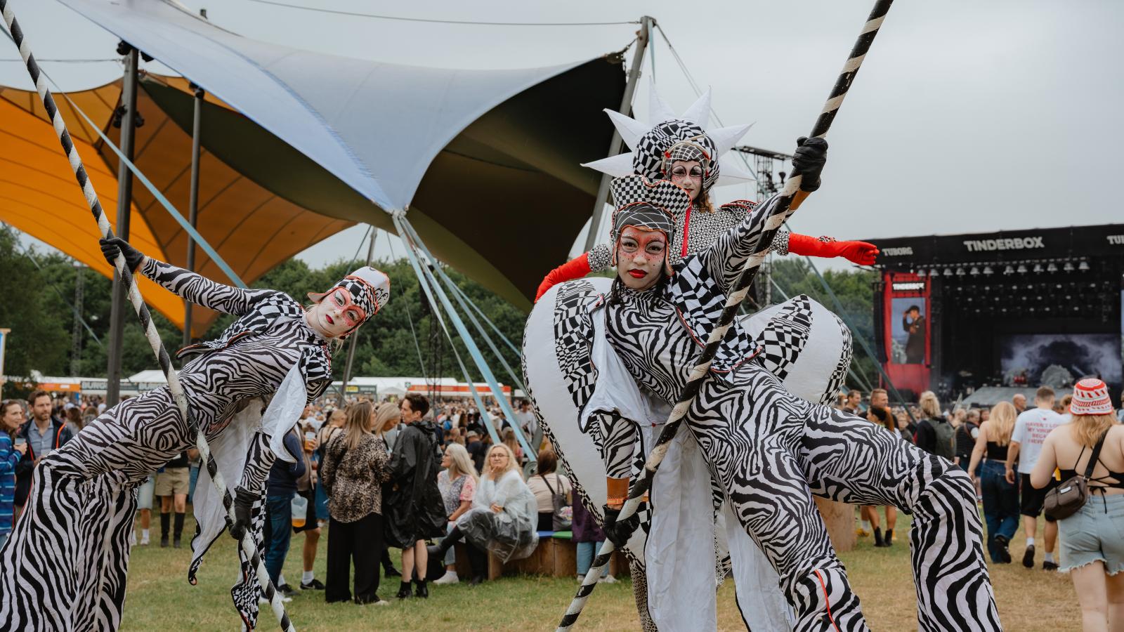 Tinderbox 2025 akrobater