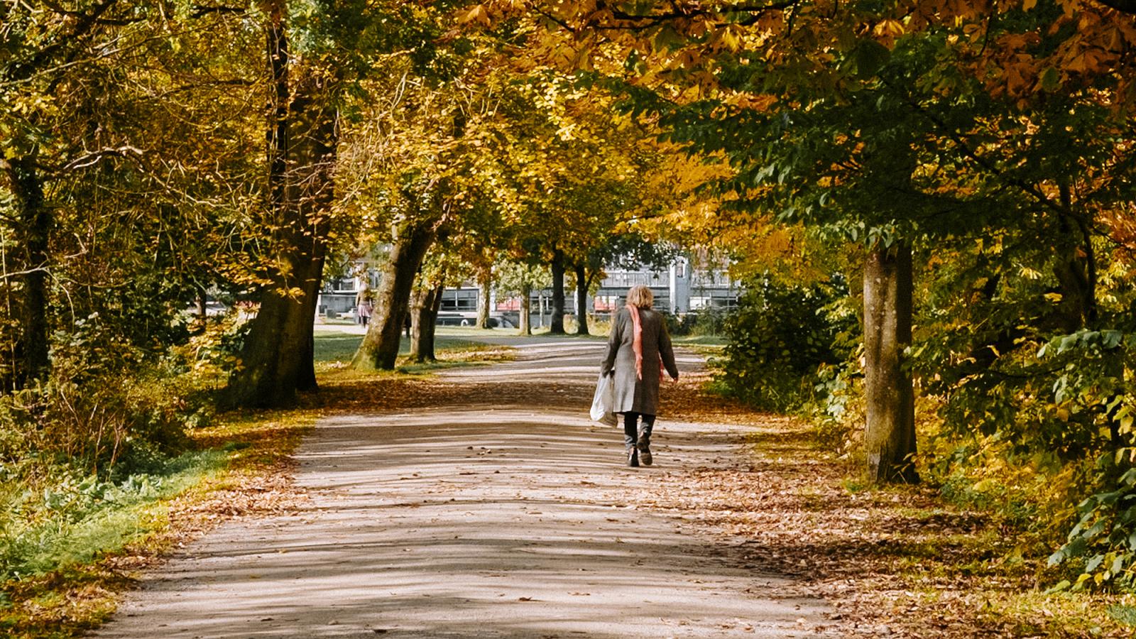 Dame på efterårssti i park