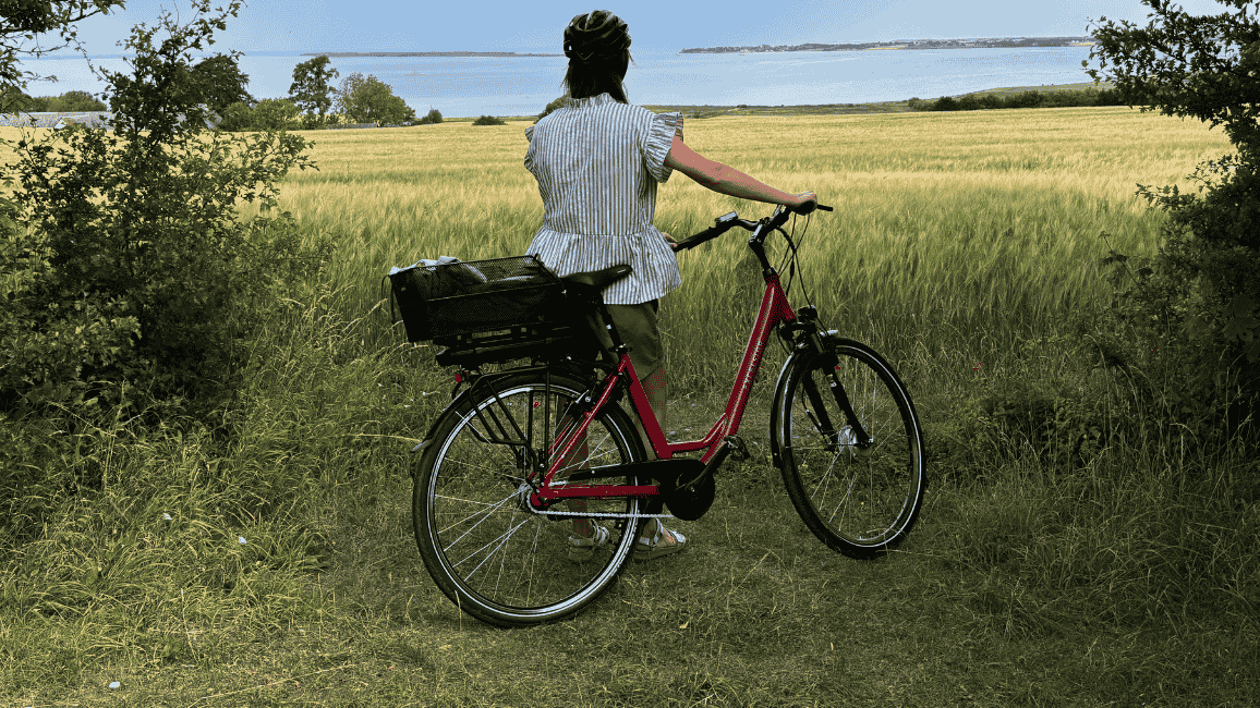 Vikingeruten - Munkebo Bakke