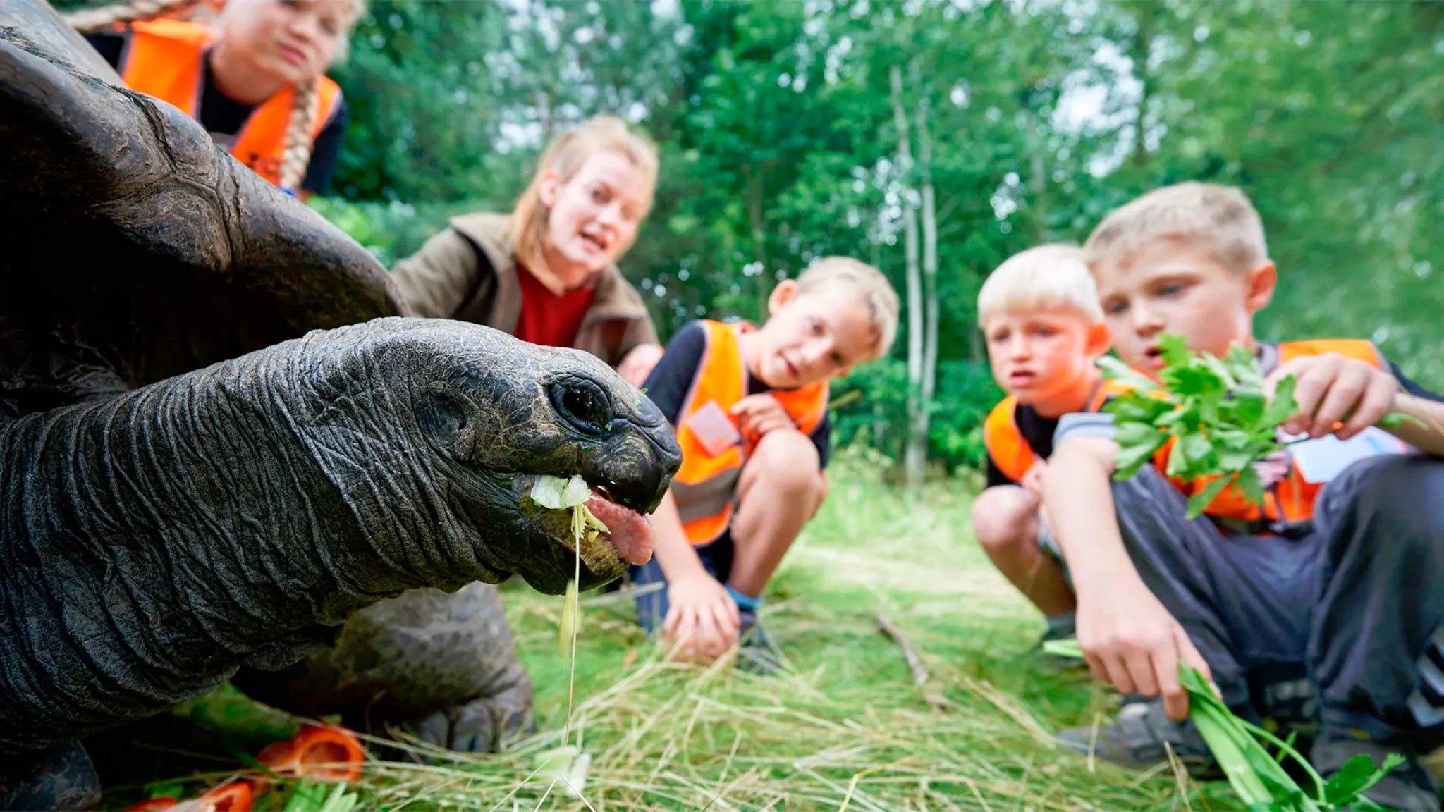 Odense ZOO skole