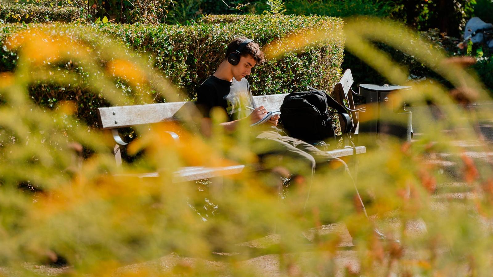 afslapning på bænk efterår 2025