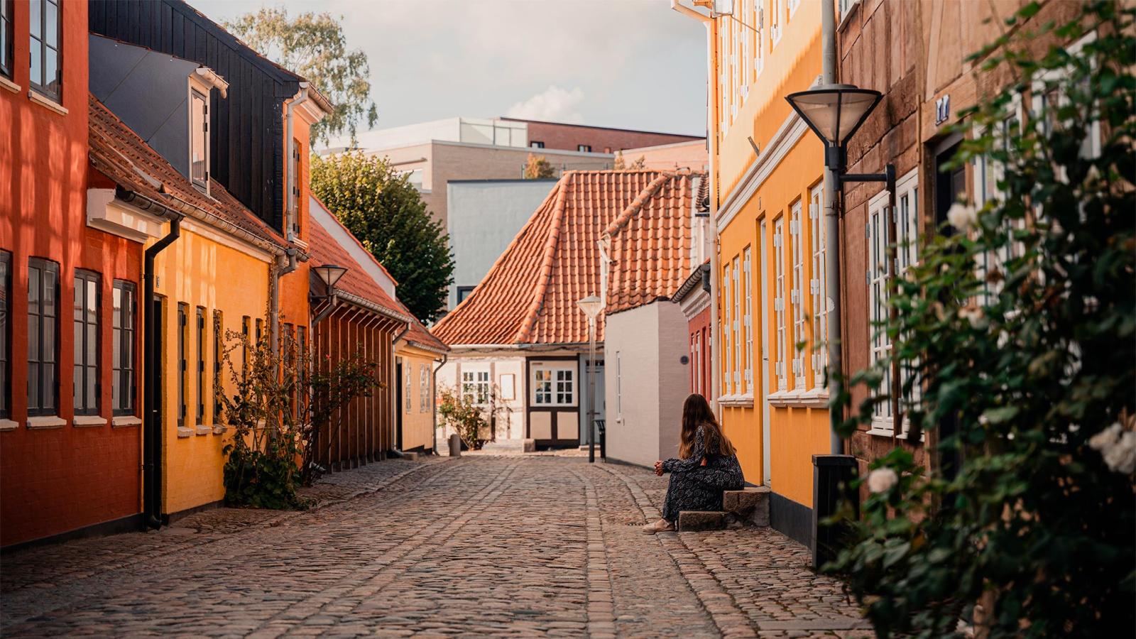 Bangs boder efterår 2025