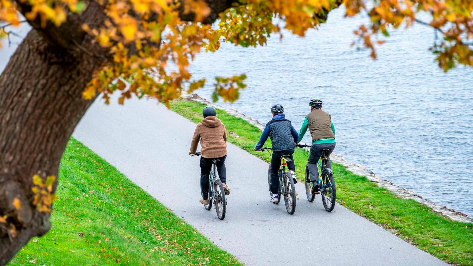 Eine Familien-Fahrradtour