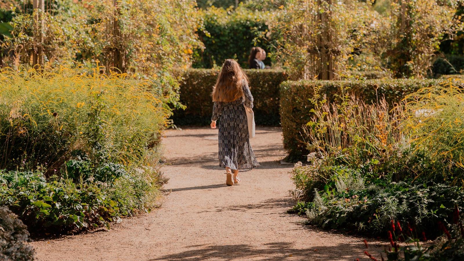 Efteraar i eventyrhaven