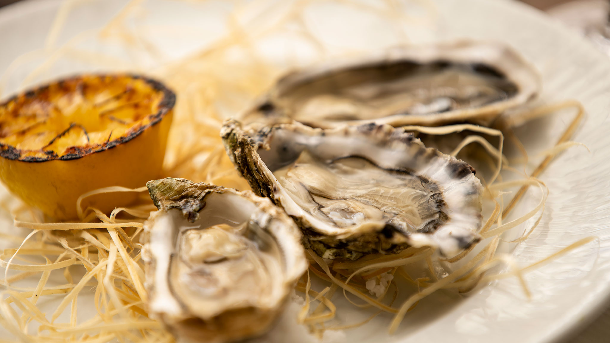 Muslinger med brændt citron