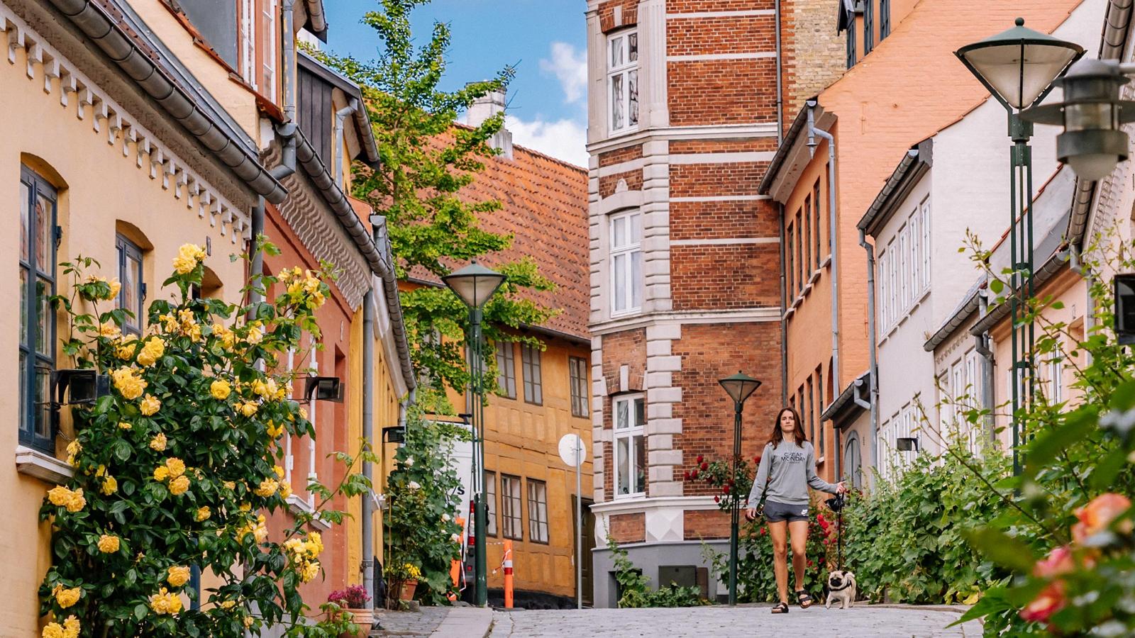 Sommer i Paaskestræde