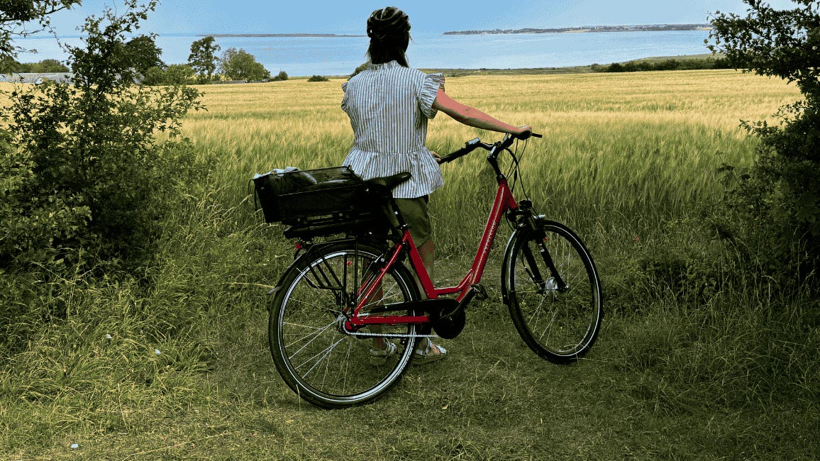 Vikingeruten - Munkebo Bakke