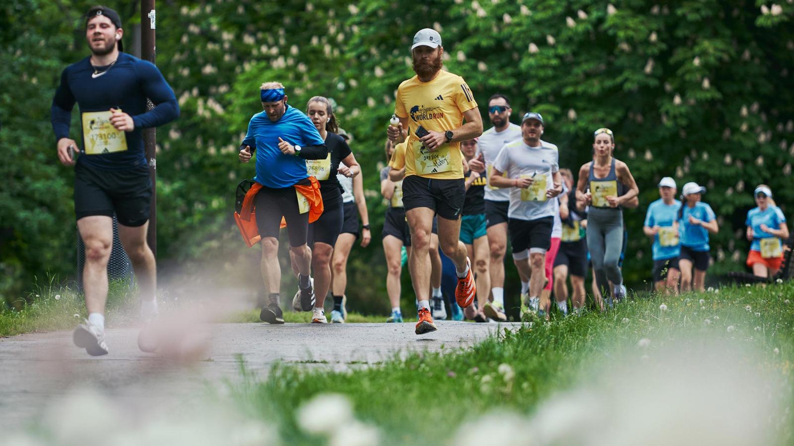 Wings for Life Run i Odense