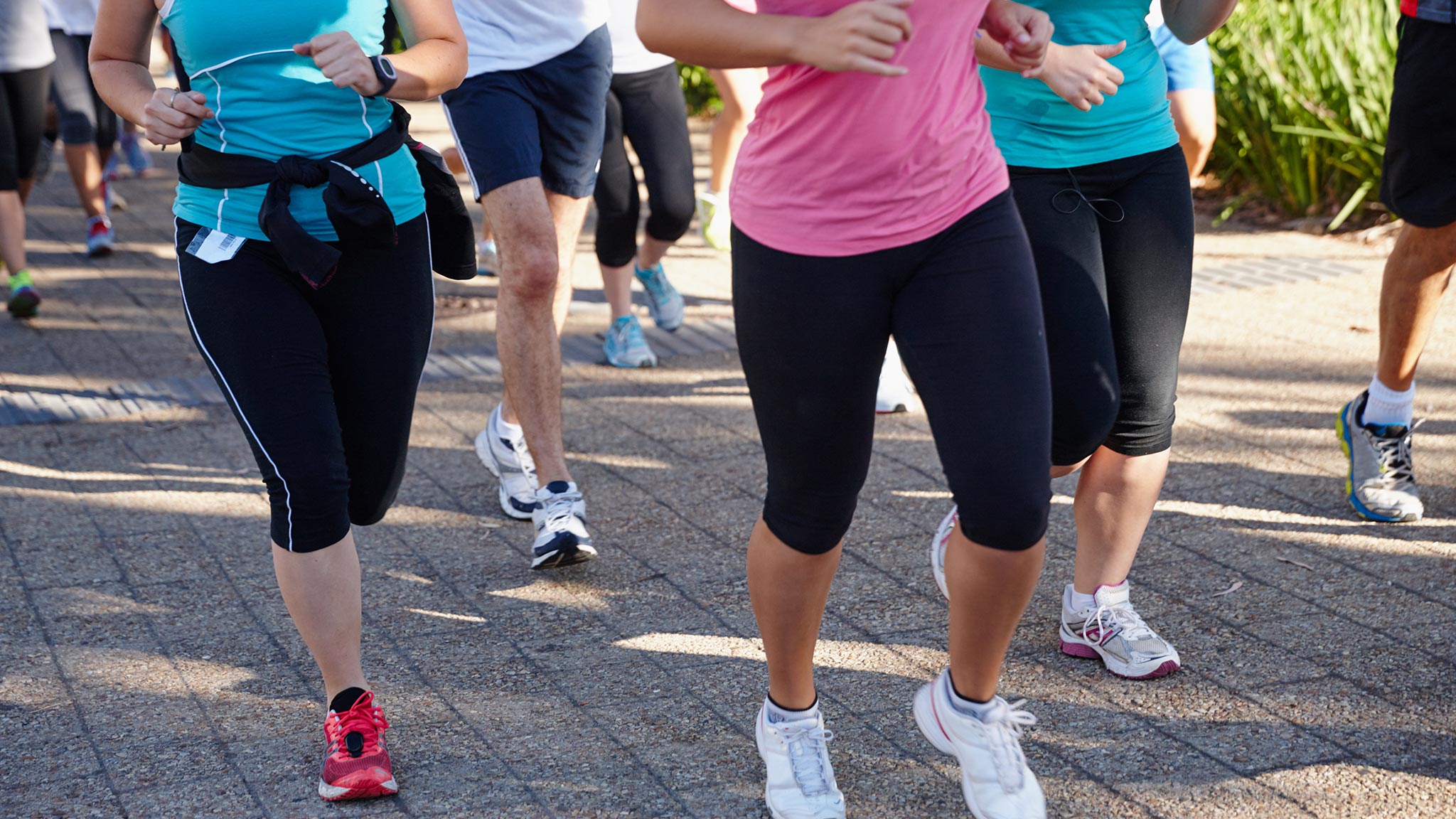 Colourbox løbebillede