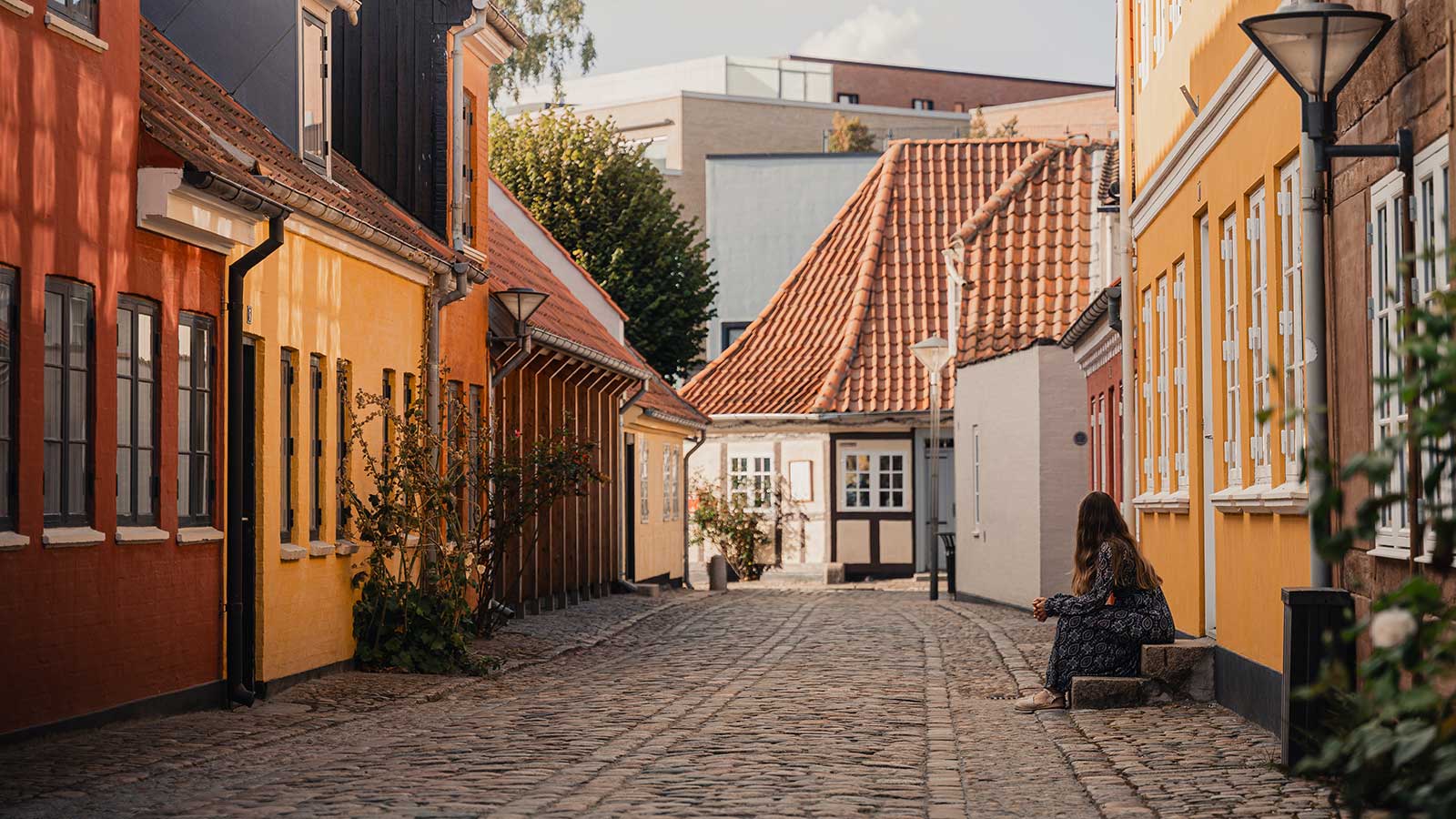 Bangs boder efterår 2025