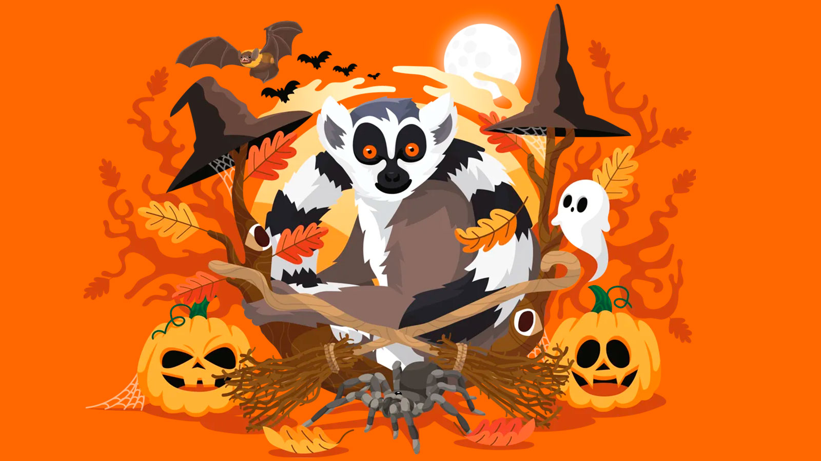 Halloween i Odense ZOO