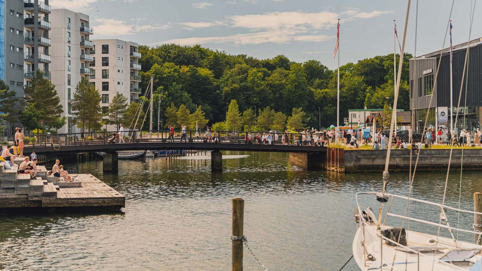 Odense Havn sommer