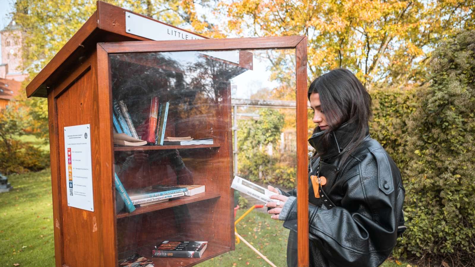 Tina Abdulla Little Library