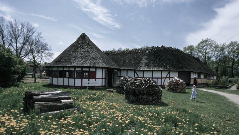 Dandelions and halftimbered houses at the Funen Village