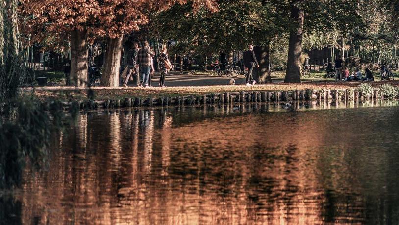 Autumn colours by the river