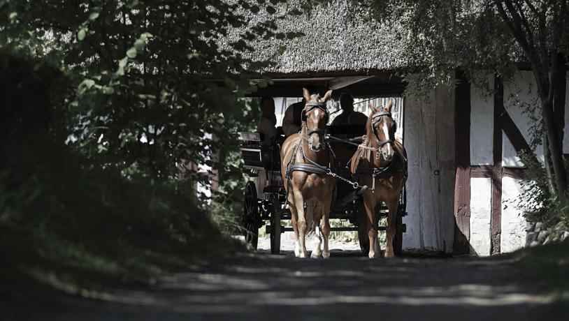 Carriage ride at The Funen Village