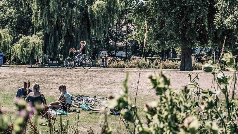 Relaxing in the park