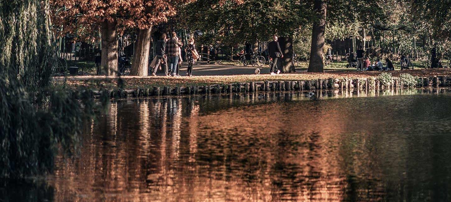 Autumn colours by the river