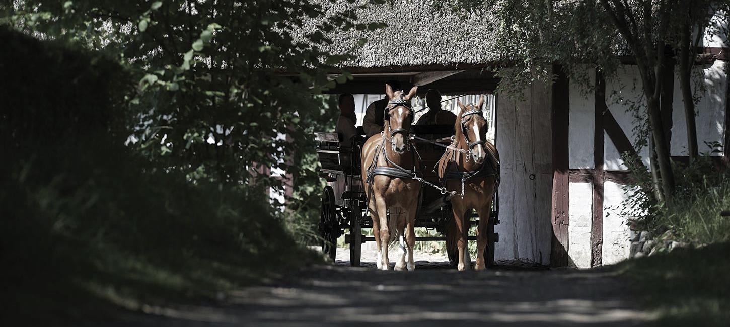 Carriage ride at The Funen Village