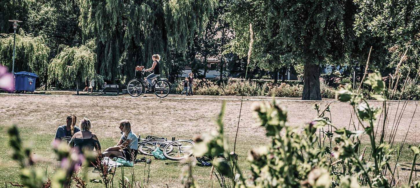 Relaxing in the park