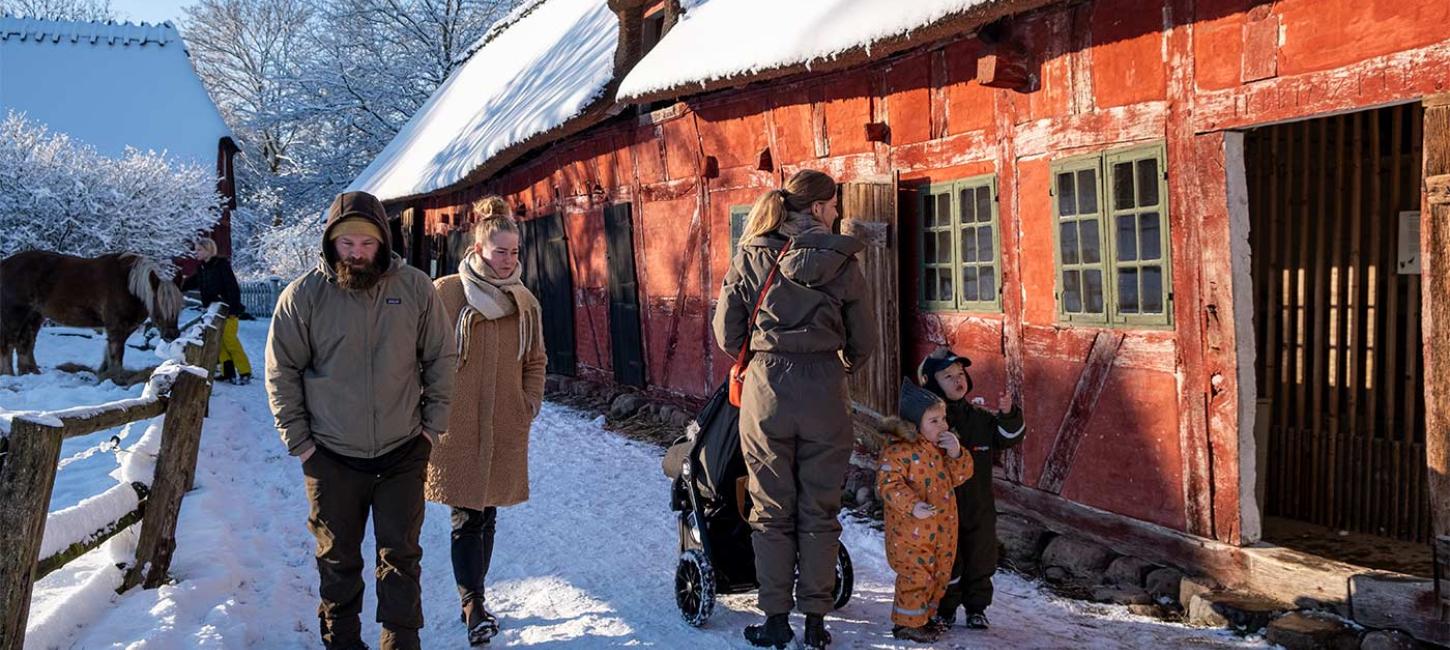 Vinter i Den Fynske Landsby