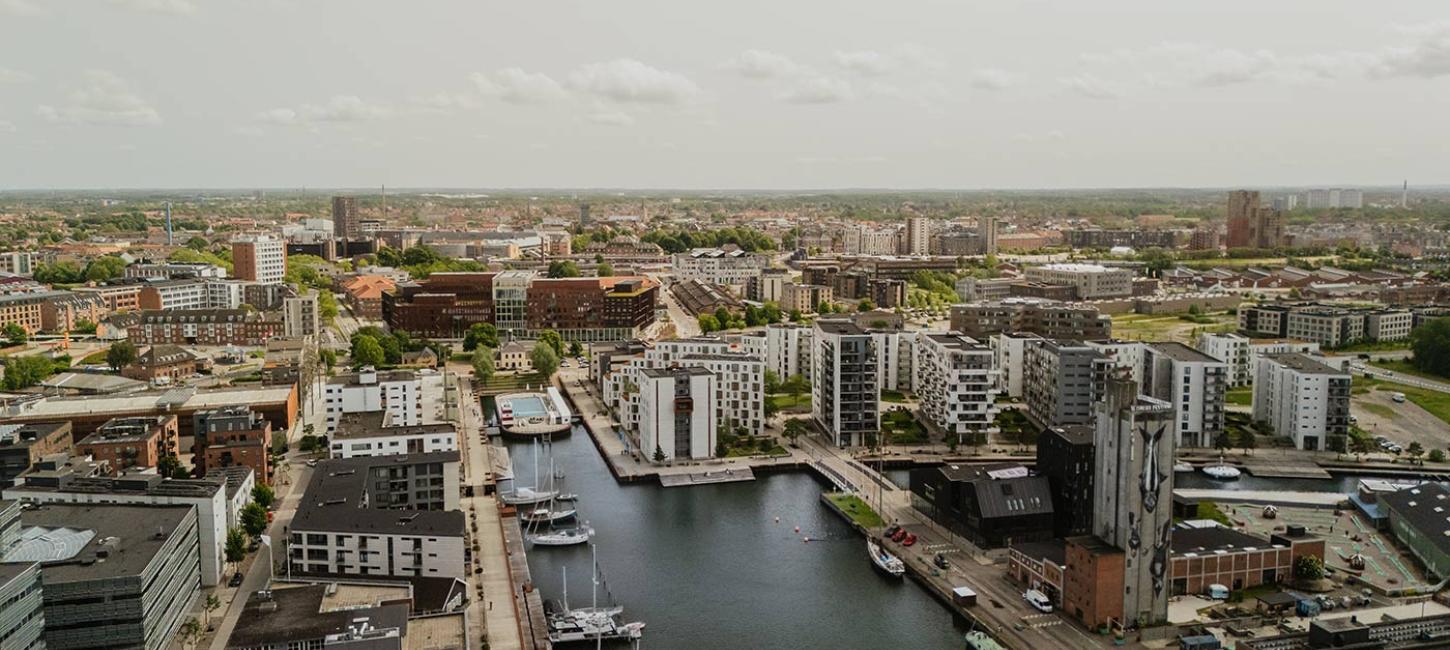 Dronebillede Odense Havn