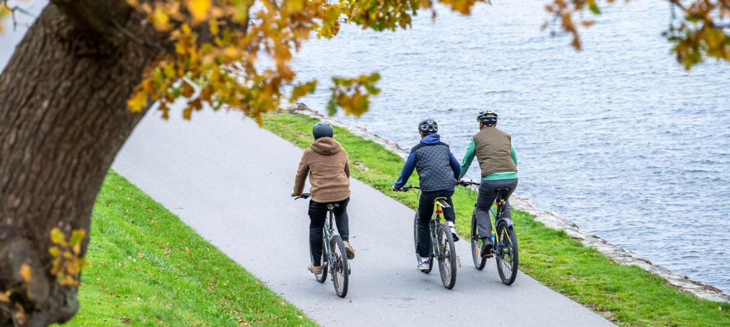 Family cycling in the woods