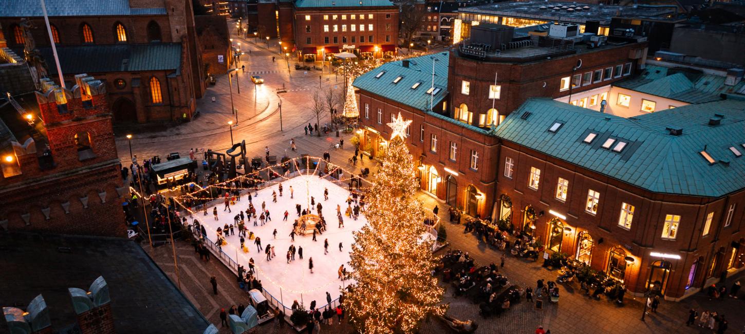 Skøjtebanen på Flakhaven