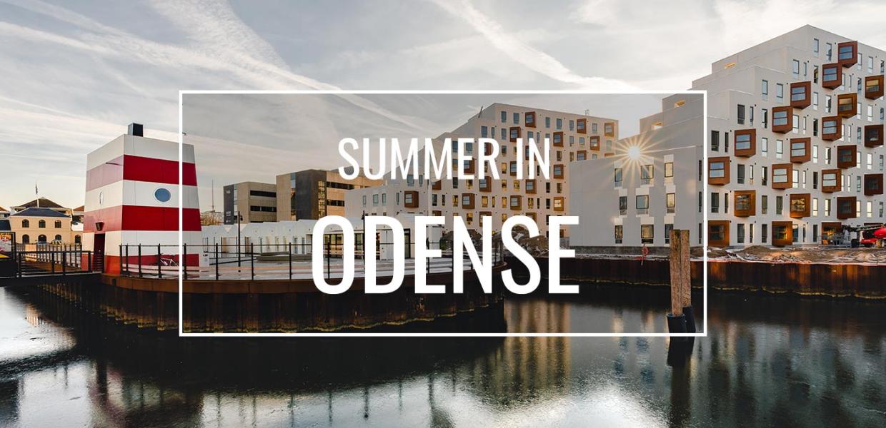 Summer in Odense harbour bath