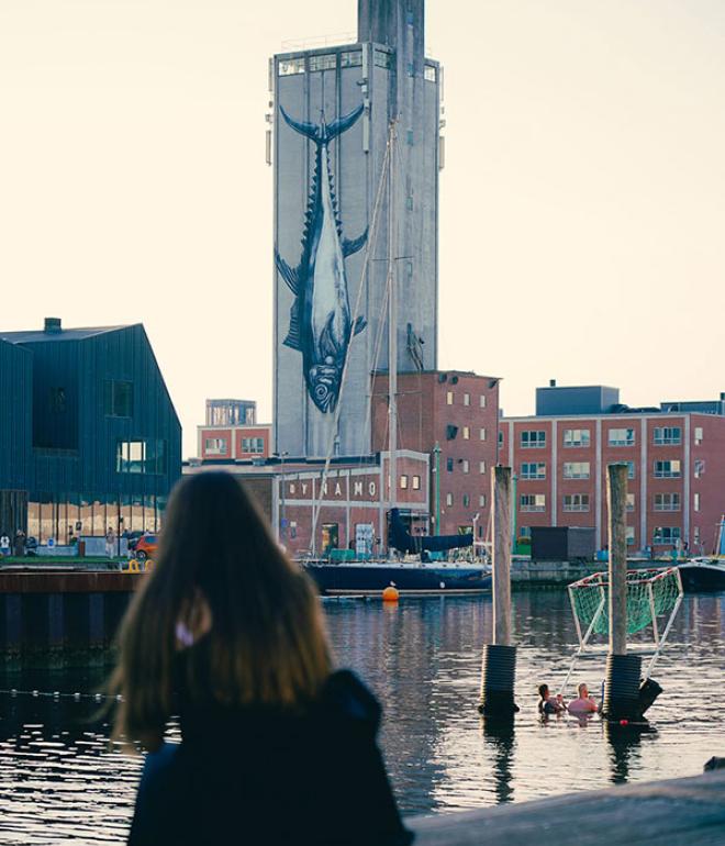 silofisk på Odense Havn