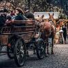 Carriage ride at the Christmas market