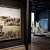 What you can see in one day - for art enthusiasts