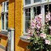 Pias B&B i Odense centrum