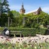 The Odense Cathedral as seen from the park
