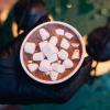 kakao fra Mortens Chokolade